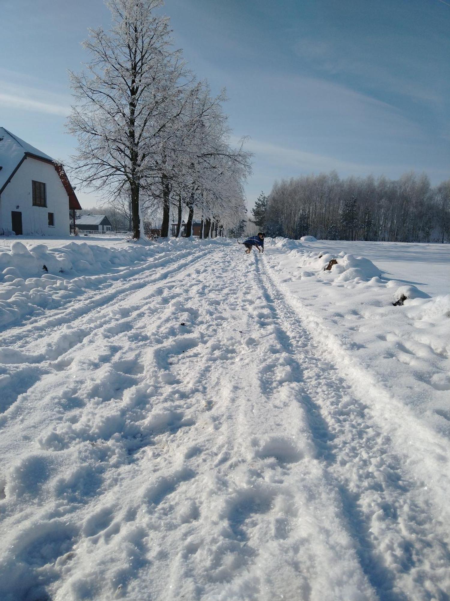 Domek Przy Stajni Bogdanowka Caloroczny Rossosz Esterno foto