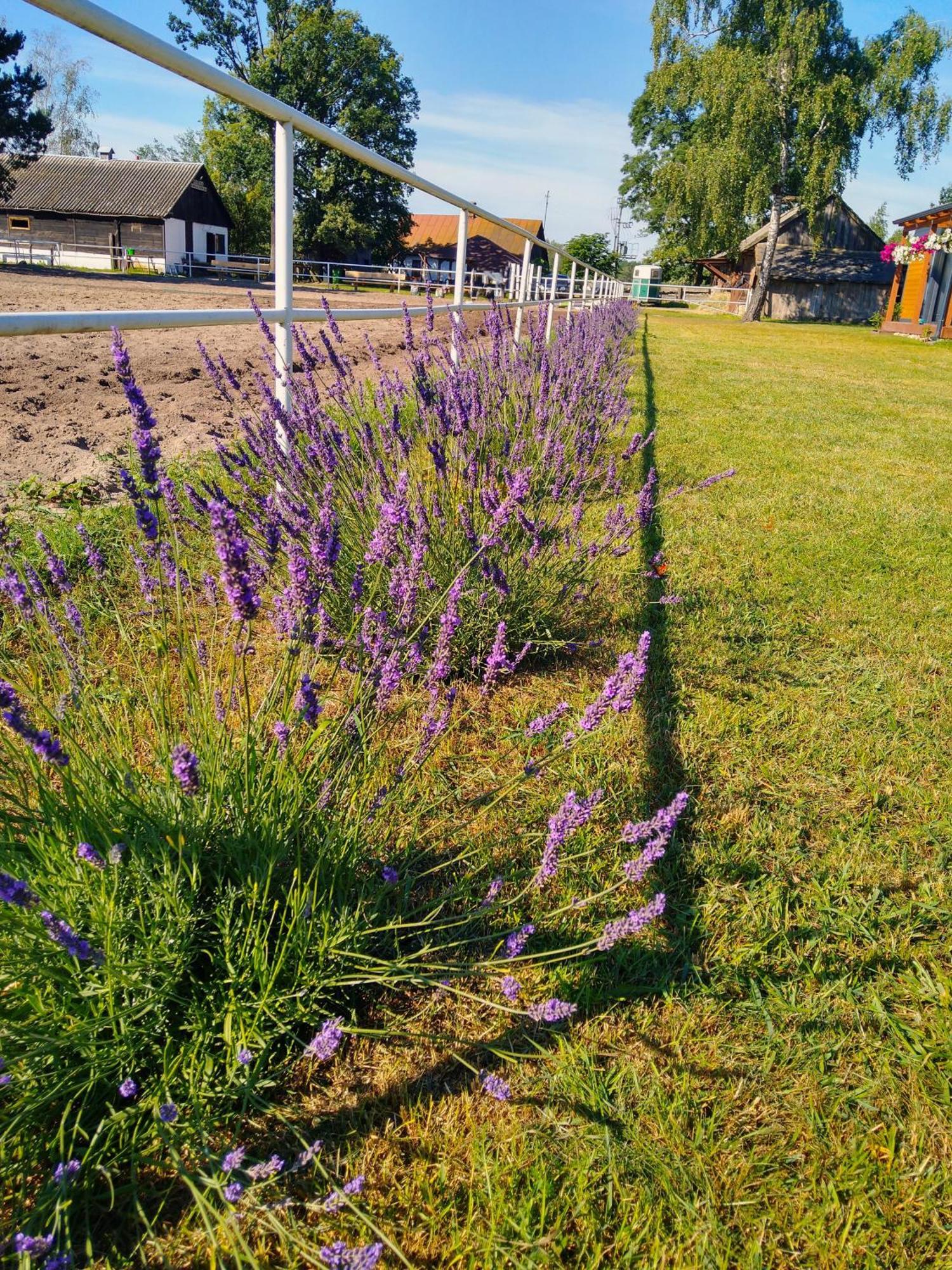 Domek Przy Stajni Bogdanowka Caloroczny Rossosz Esterno foto
